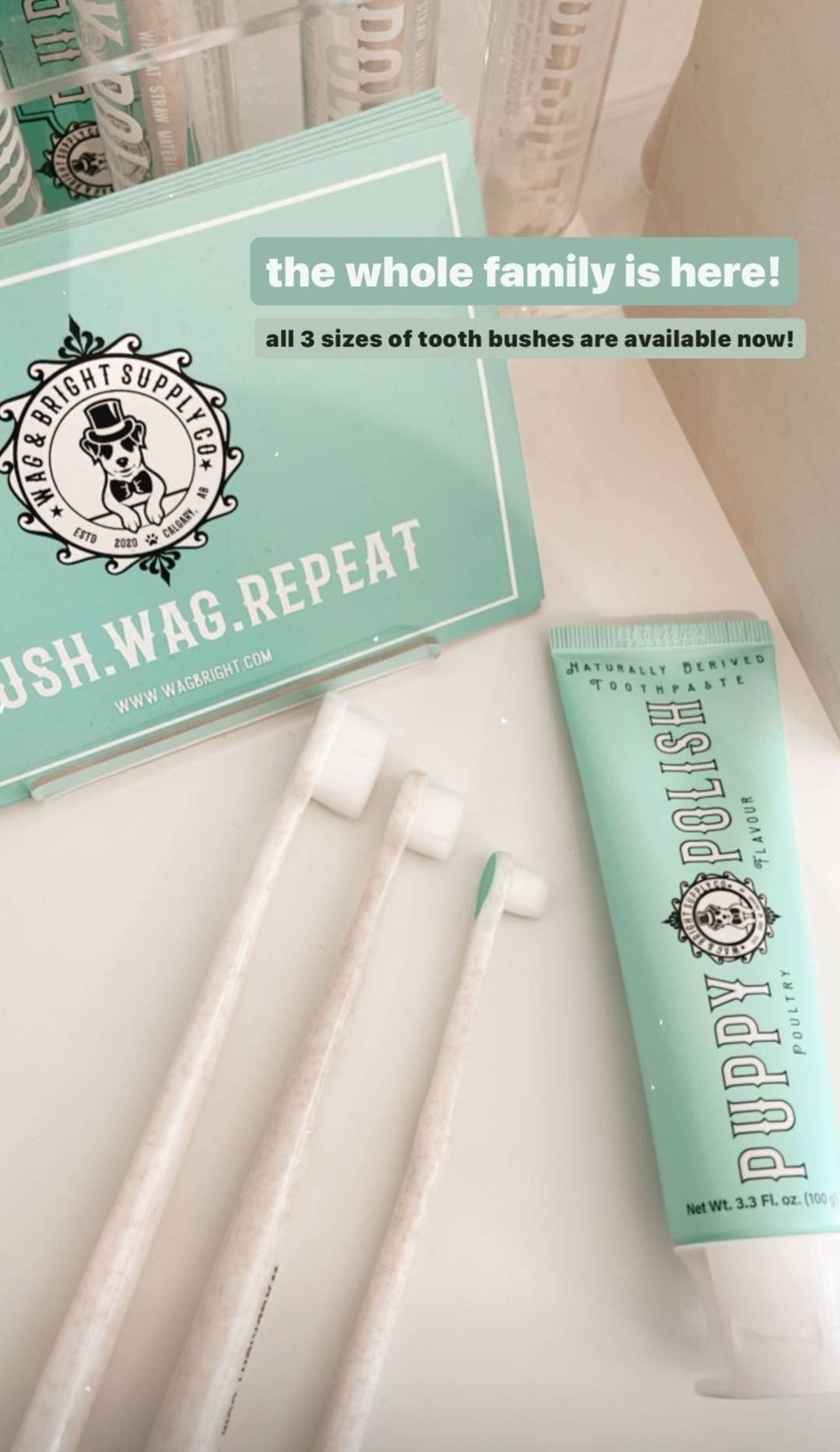 Puppy Polisher Toothbrush - Extra Small