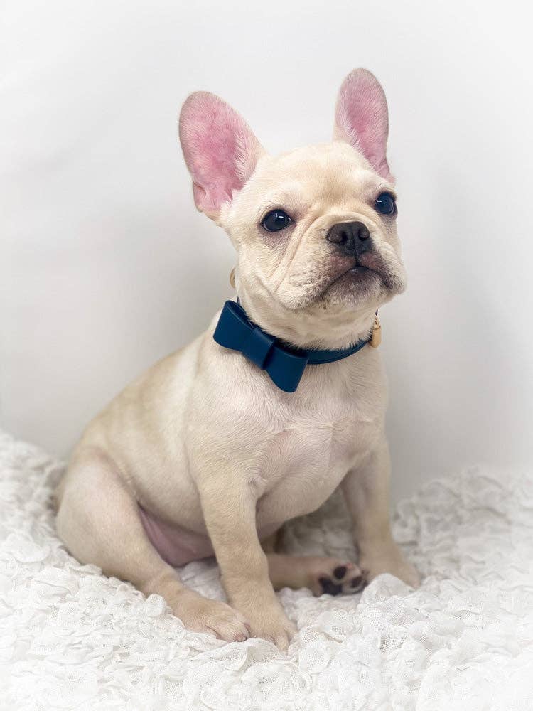 Conjunto de collar y correa para perros Signature - Azul marino