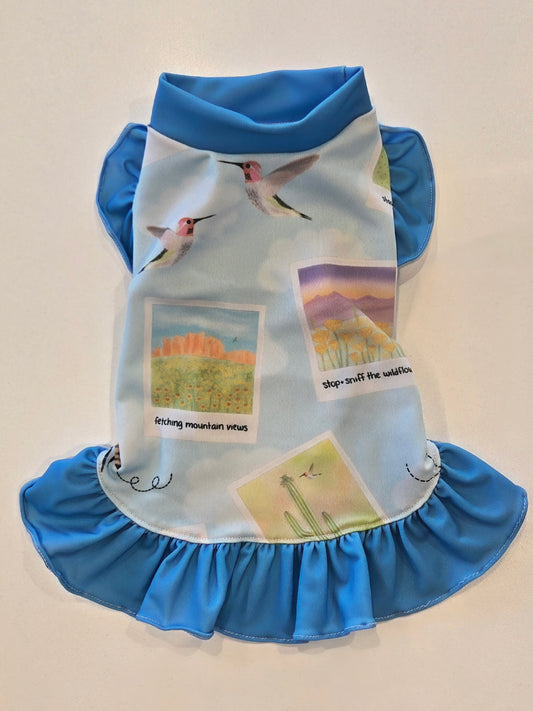 Scenic Arizona Shimmy Cooling Dog Dress