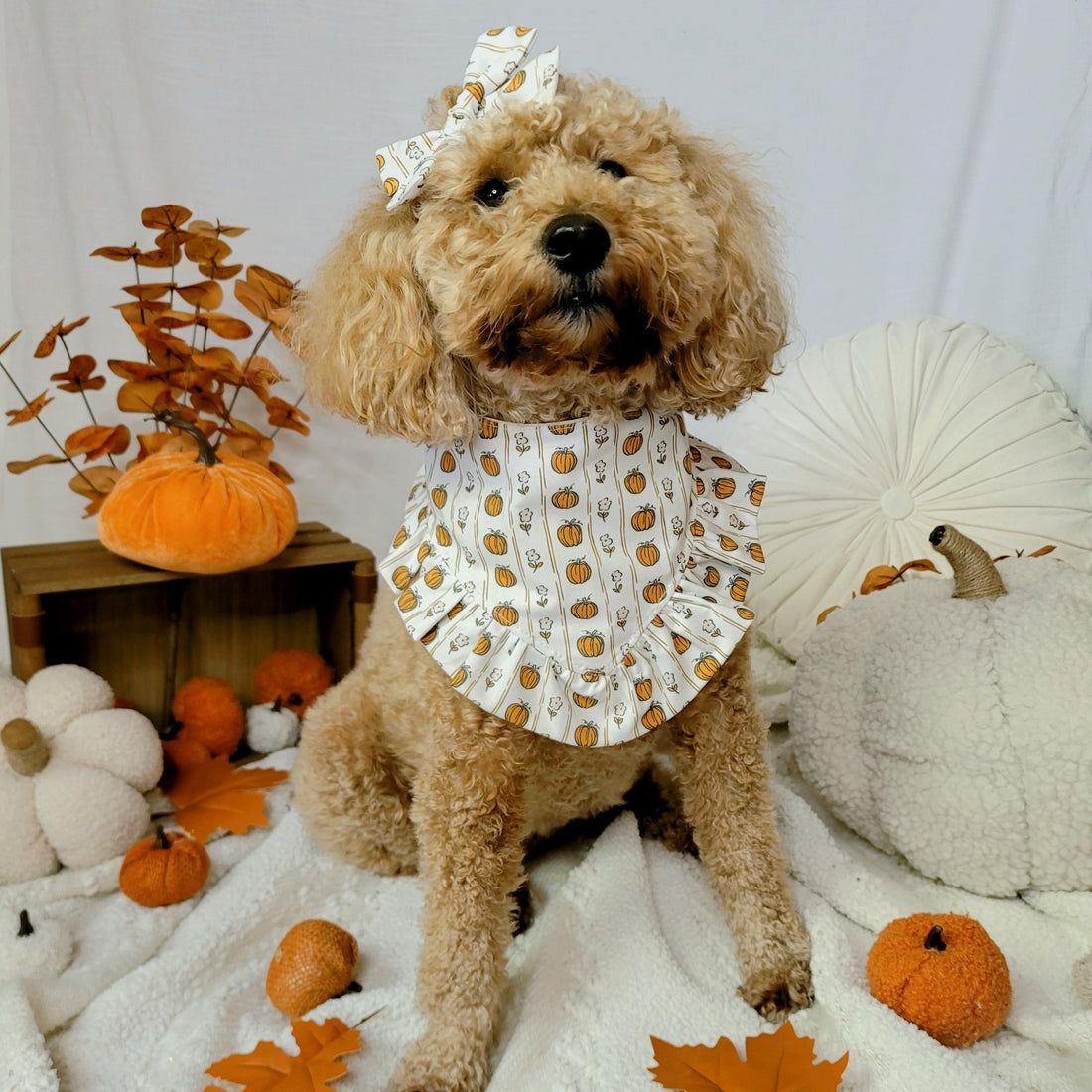 Preppy Fall Vibes With Ruffle Dog Bandana