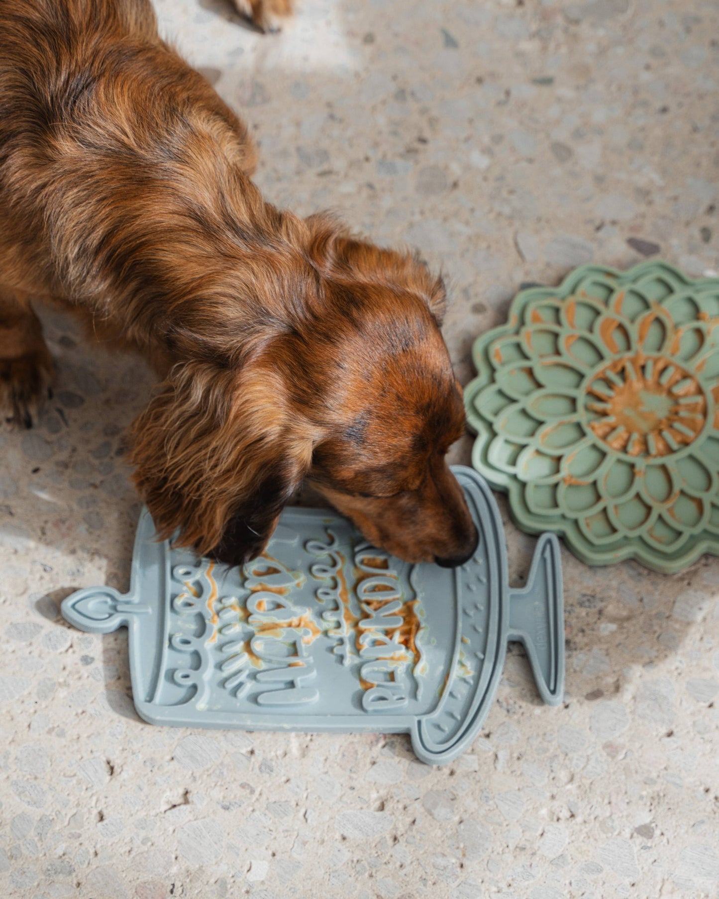 Barkday Bash Lick Mat