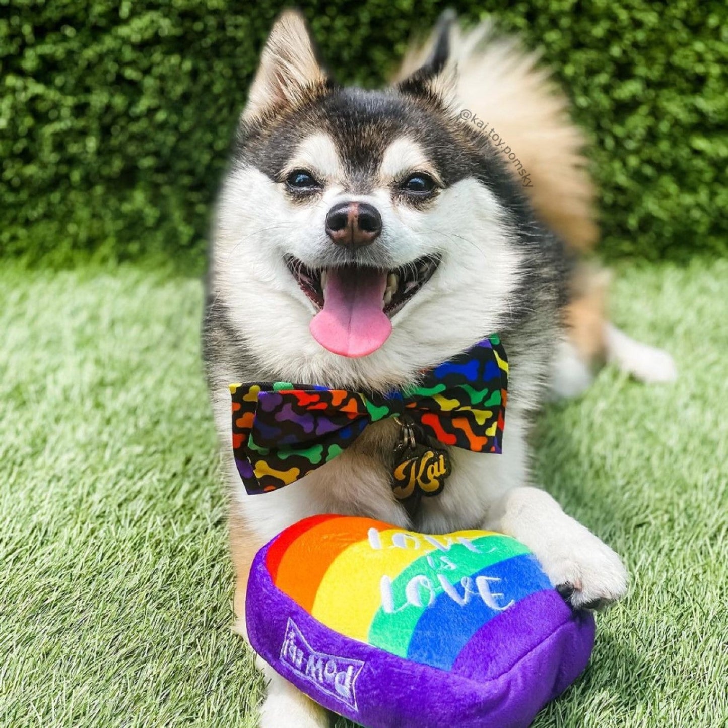 Unity Dog Bow Bow Tie