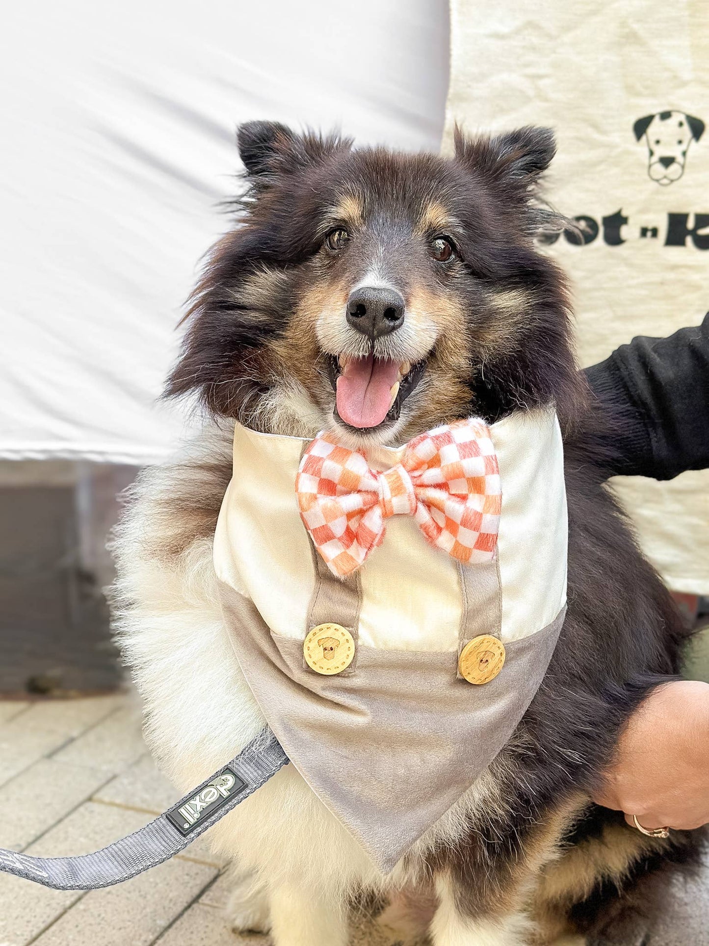 Dog Bandana Suspender Checkered