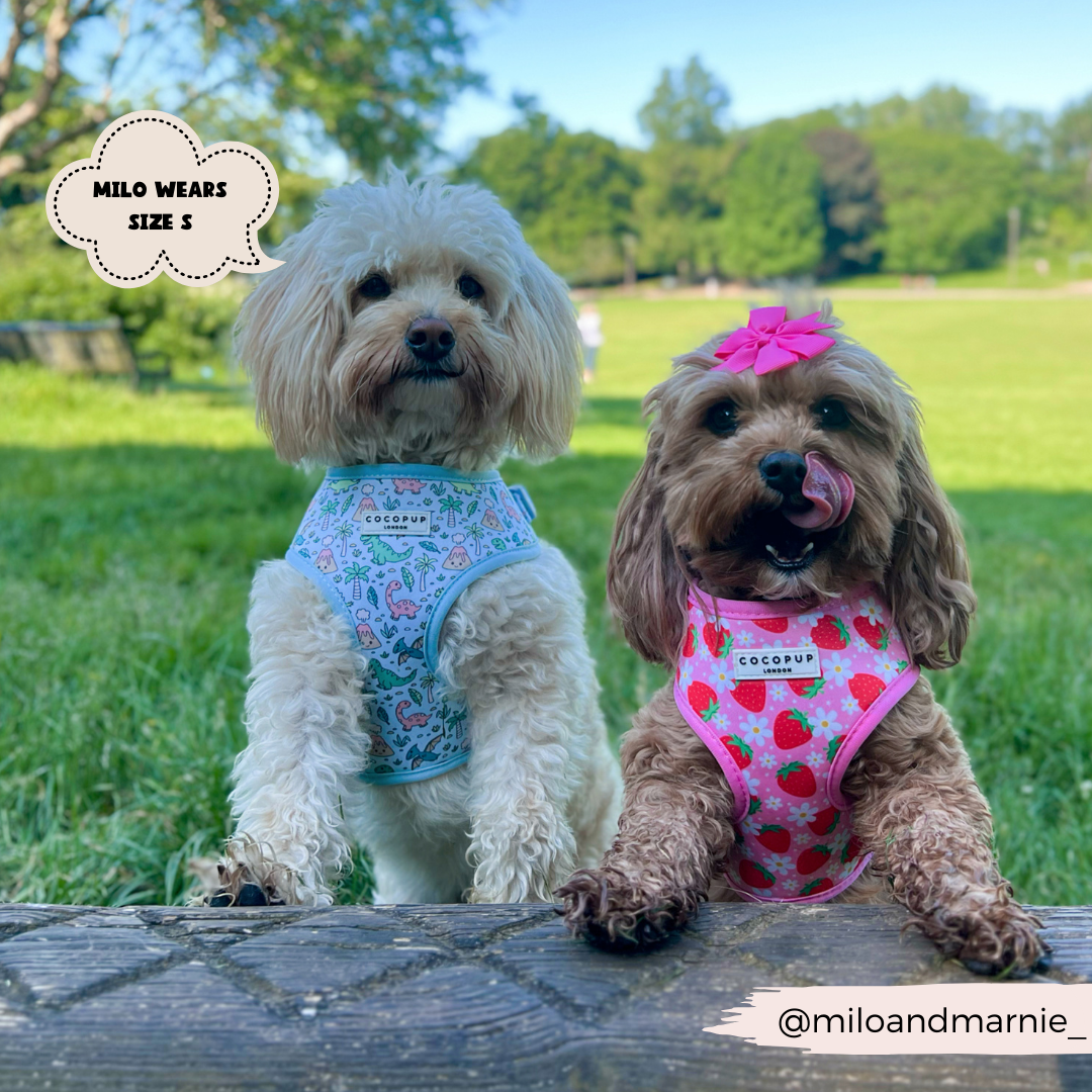 Dinopaws Adjustable Neck Dog Harness