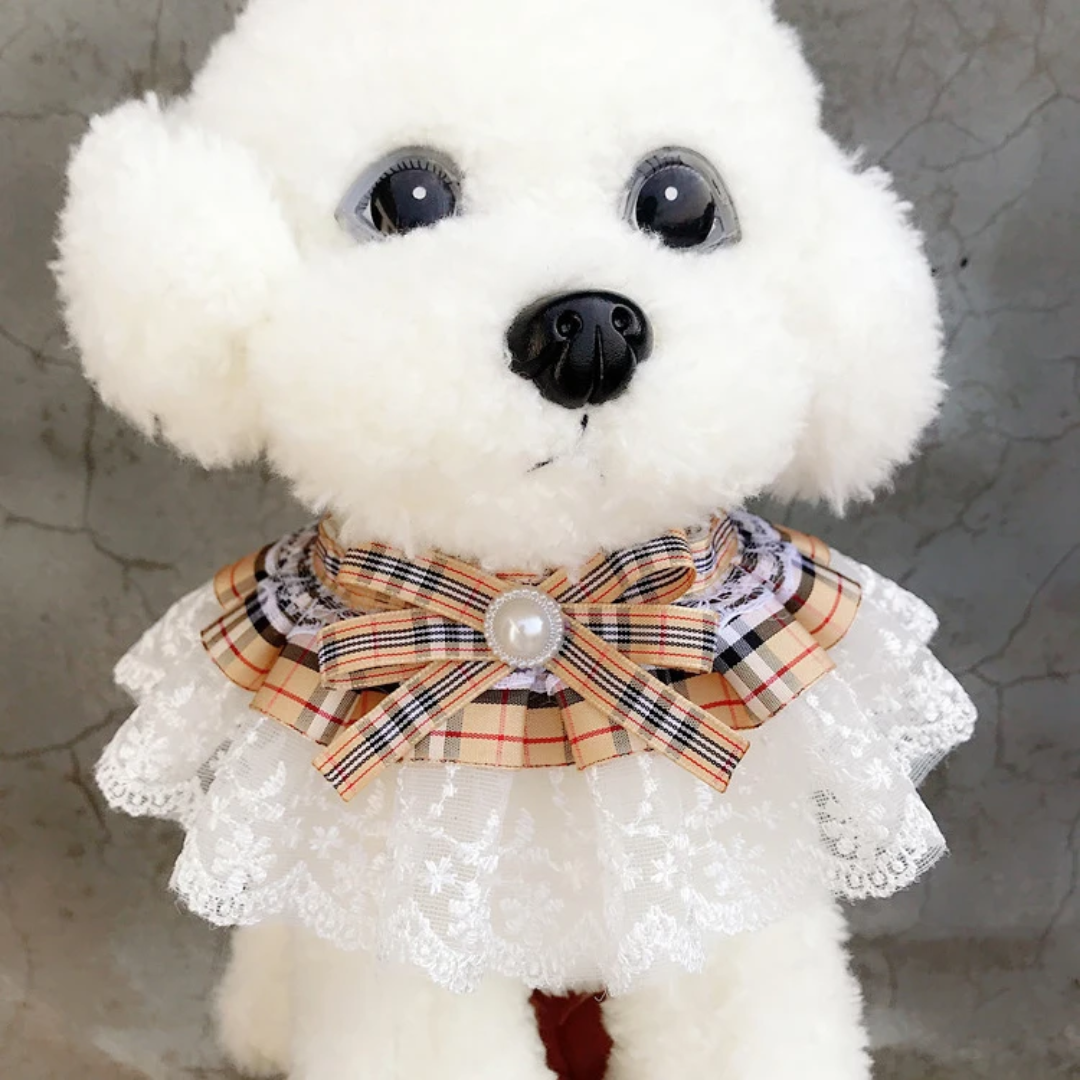 Cute Tartan/Lace Collar