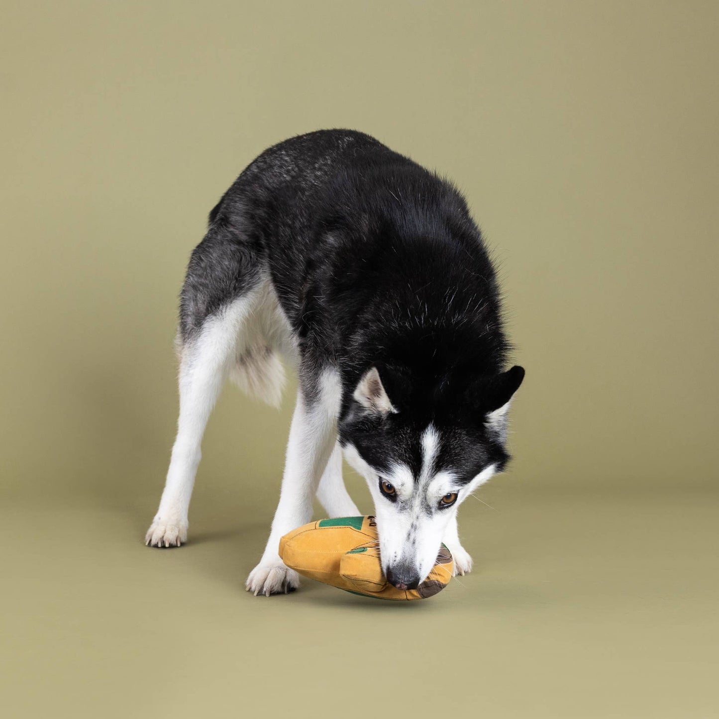 Need a Hand Plush Dog Toy