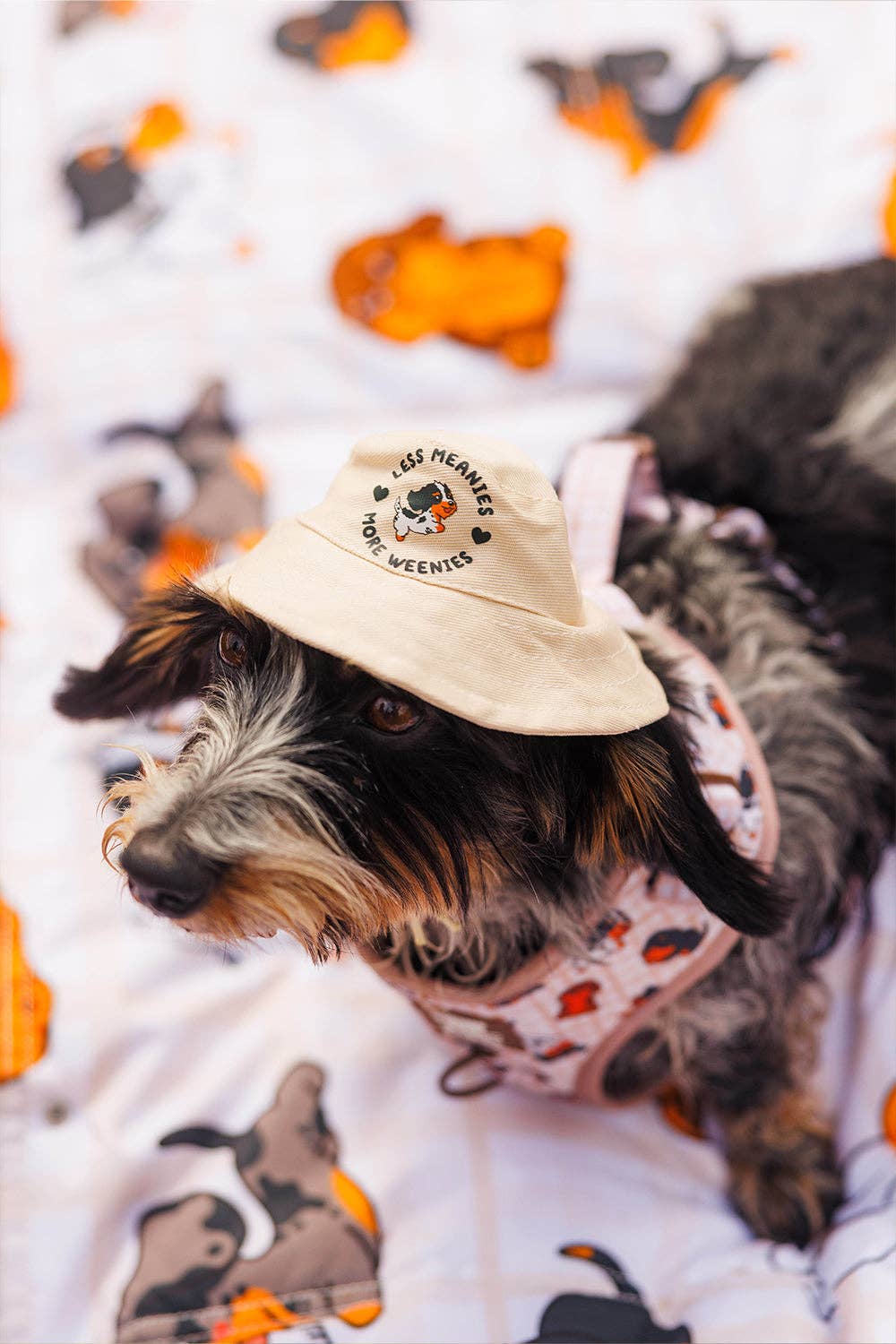 Dog Bucket Hat - Weens Club