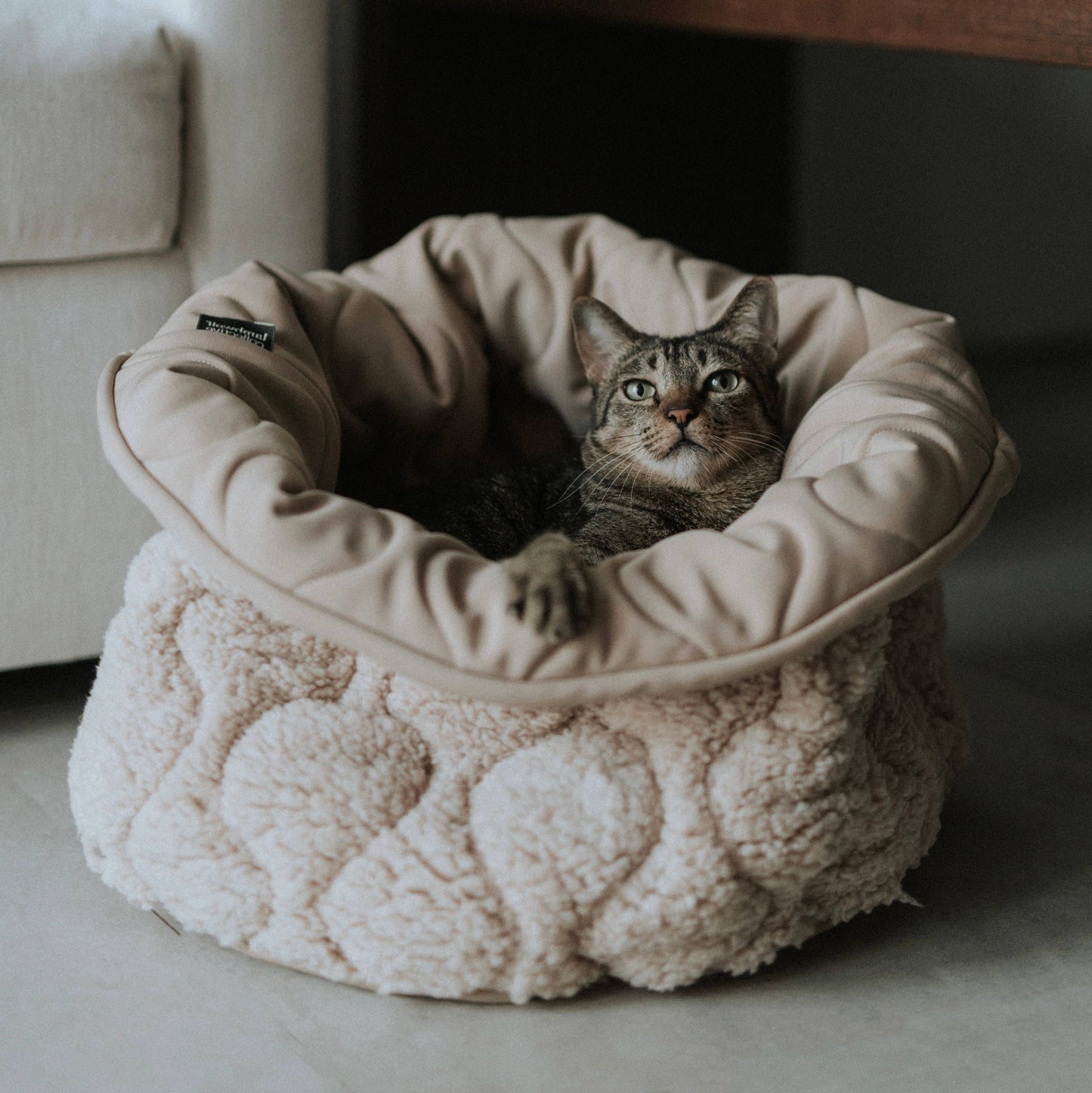 Taart Dog Bed - Assorted Colors