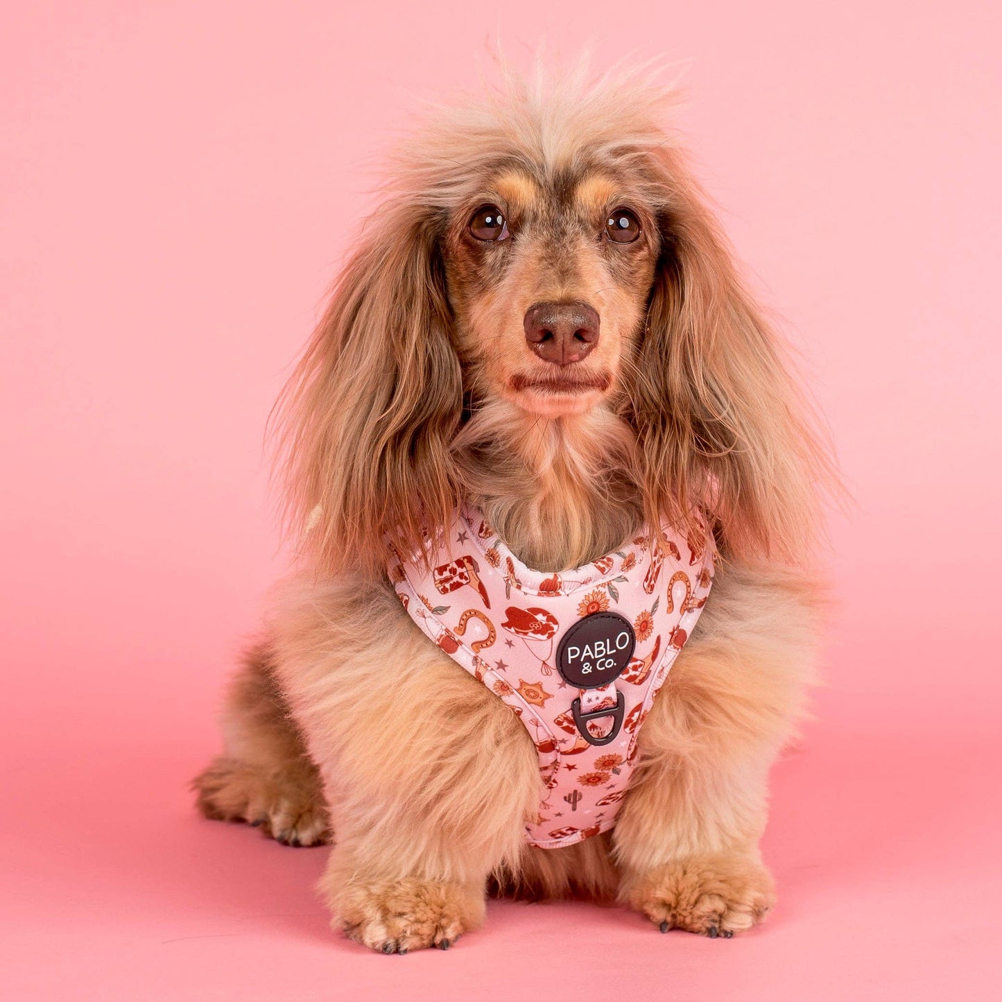 Howdy Adjustable Dog Harness
