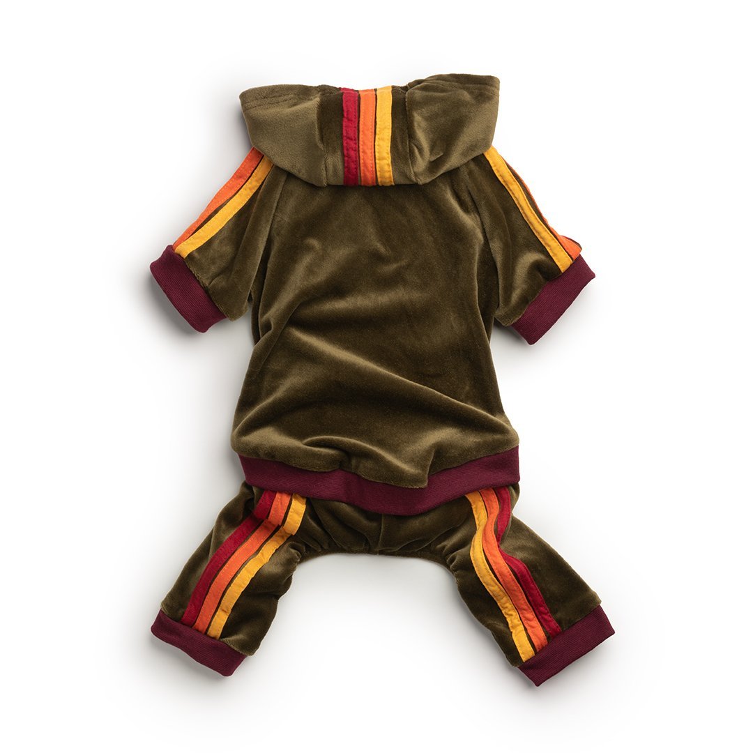 Velour Dog Jogger - Assorted Colors