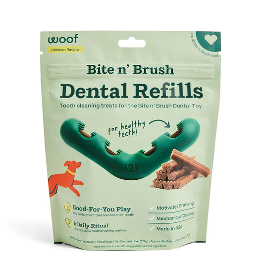 Recambios dentales Bite n' Brush