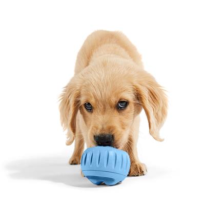 Pupsicle Blue - World's Best Treat Dispensing Dog Toy