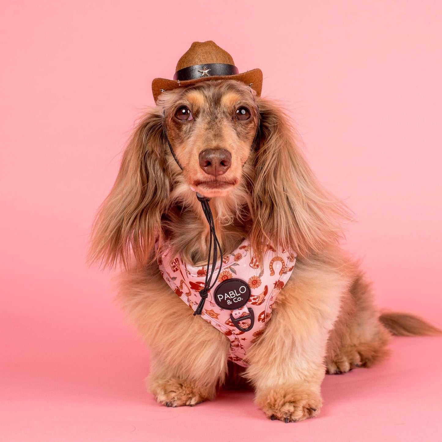 Howdy Adjustable Dog Harness