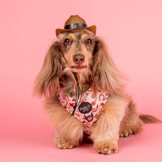 Howdy Adjustable Dog Harness