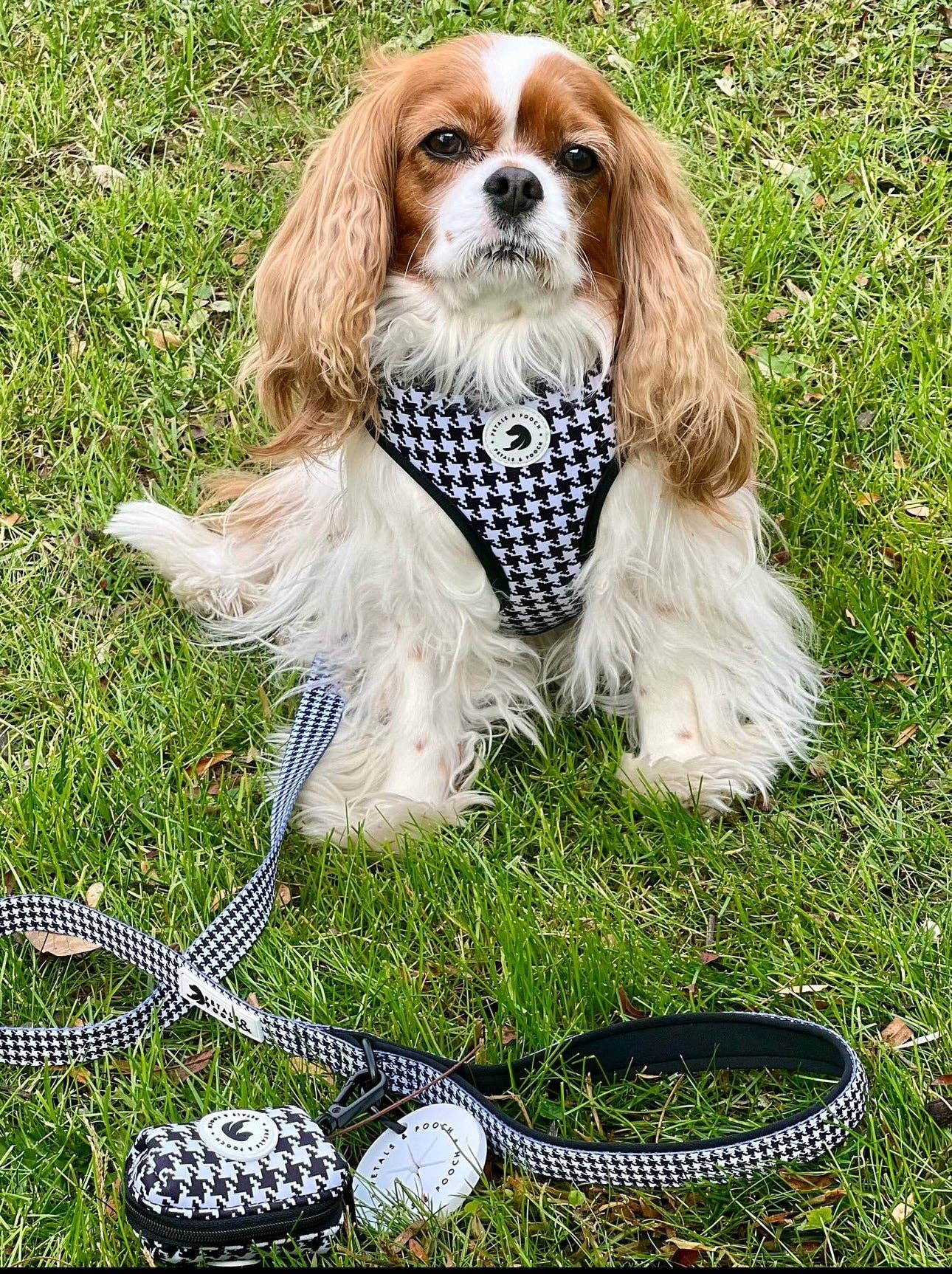 PuppyTooth Adjustable Dog Harness