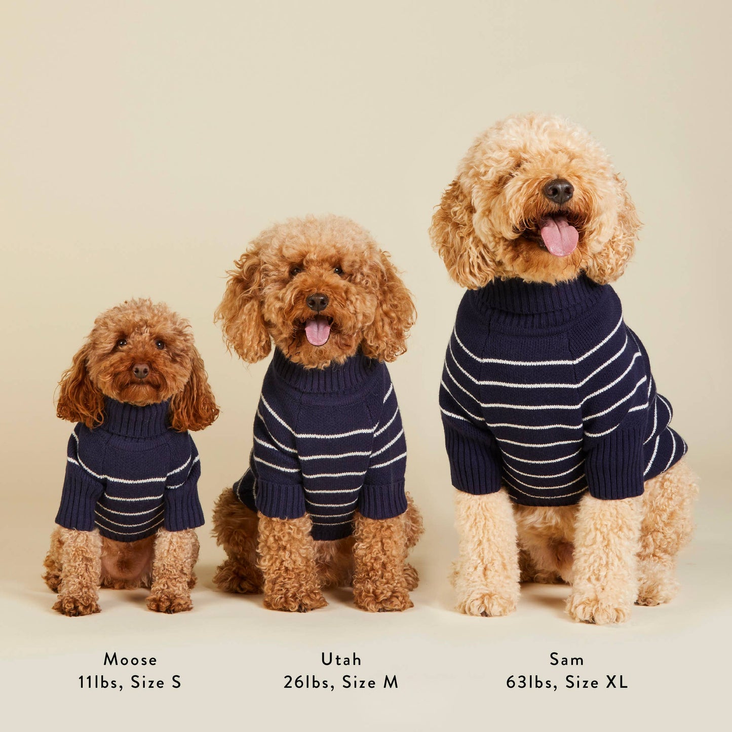 TFD x Draper James Mariner Stripe Dog Sweater