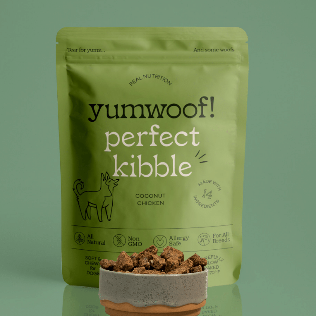 Perfect Kibble Air-Dried Dog Food - Coconut Chicken - Topper Size