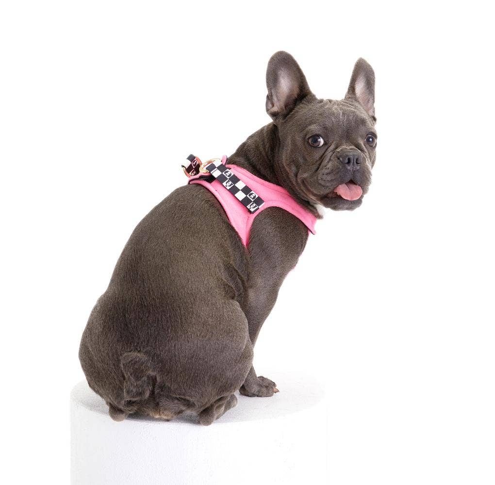 Arnés Bonbon de Moshiqa