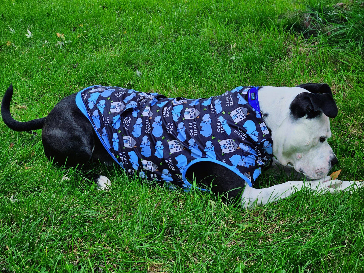 Black 'Pitty-potamus' Muscle Tee