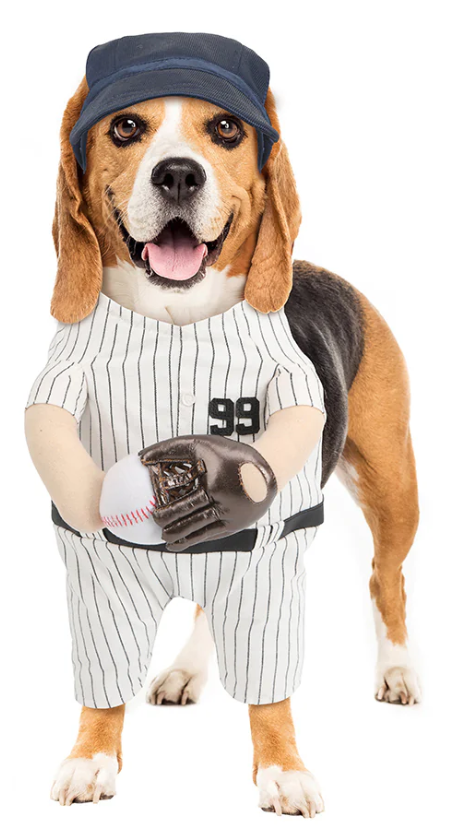 Disfraz de perro de Halloween de The Home Ruff