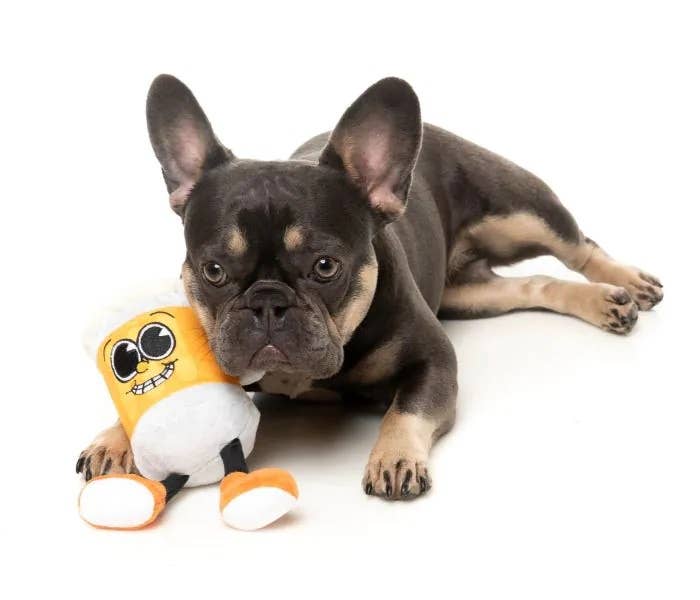 Steinzy Plush Dog Toy