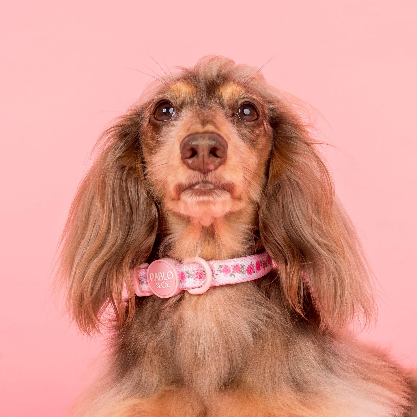 Vintage Rose Collar