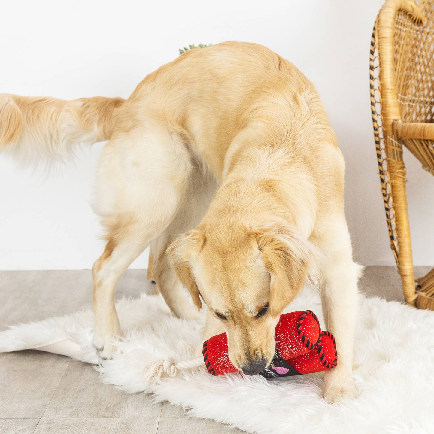 You're Dynamite Plush Dog Toy