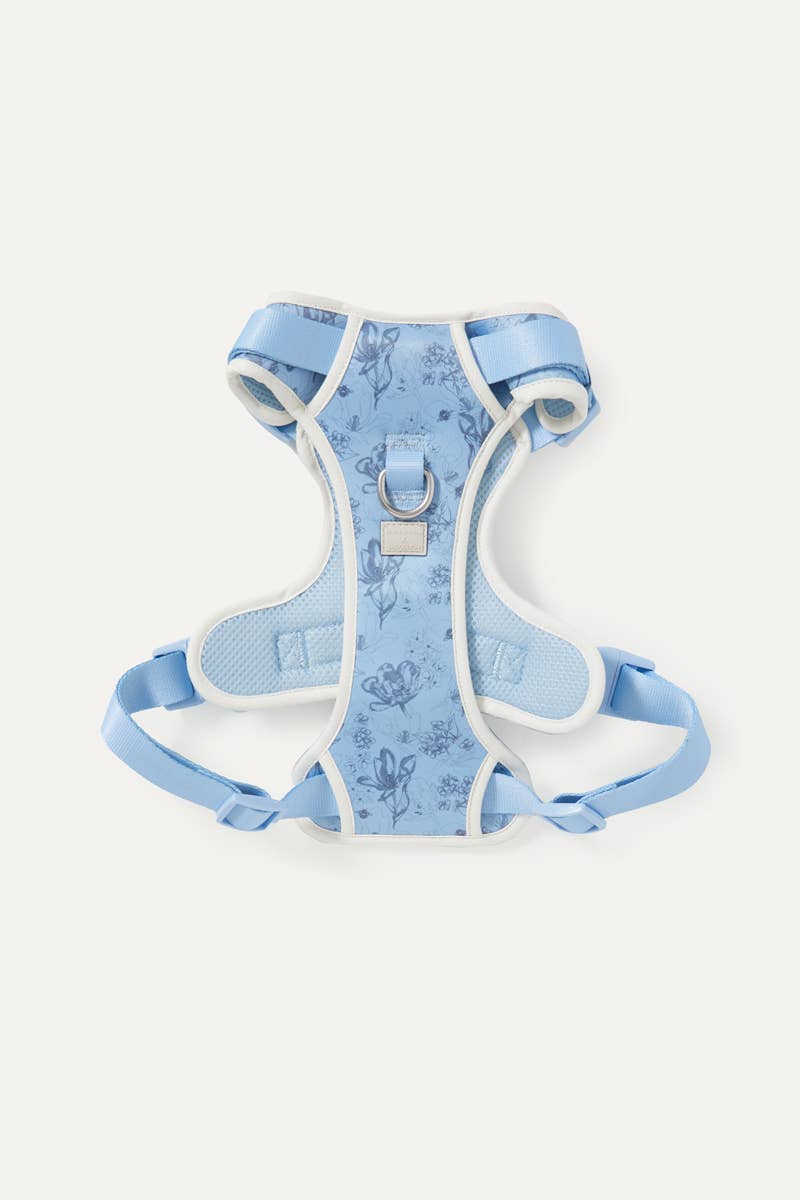 Bridgerton x maxbone Walk Set for Dogs