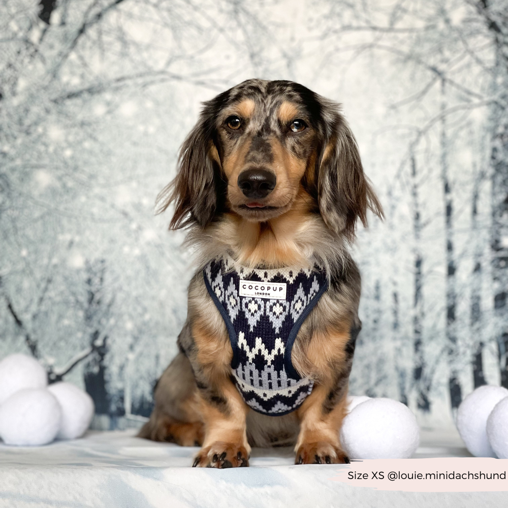 Arnés ajustable para perros Chalet Pup