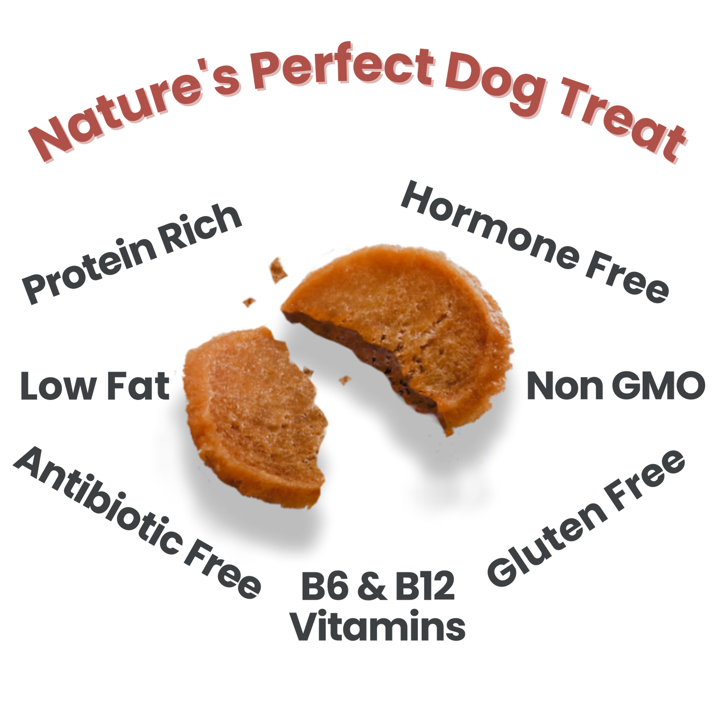 Turkey Chips Dog Treats 12oz