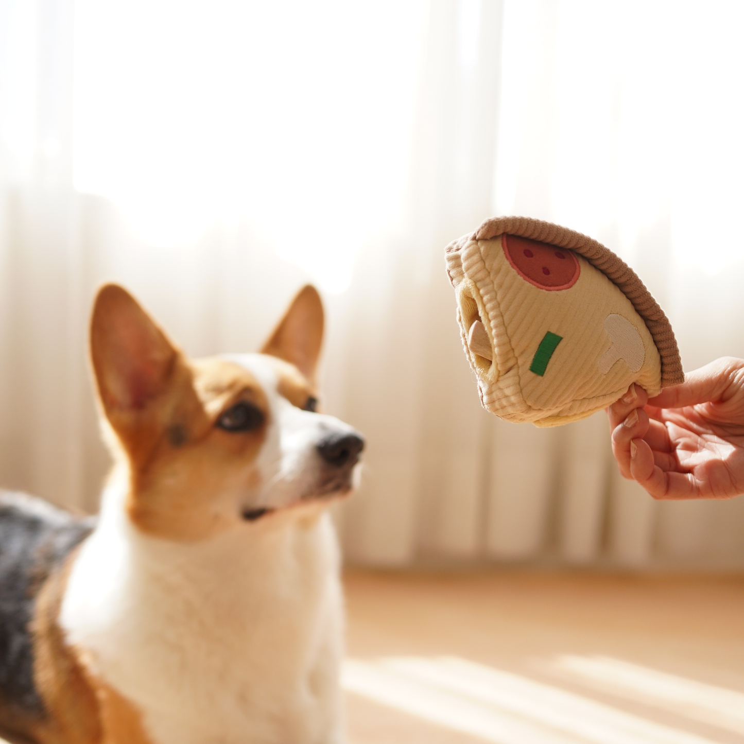 Juguete enriquecedor para perros con forma de pizza de base profunda