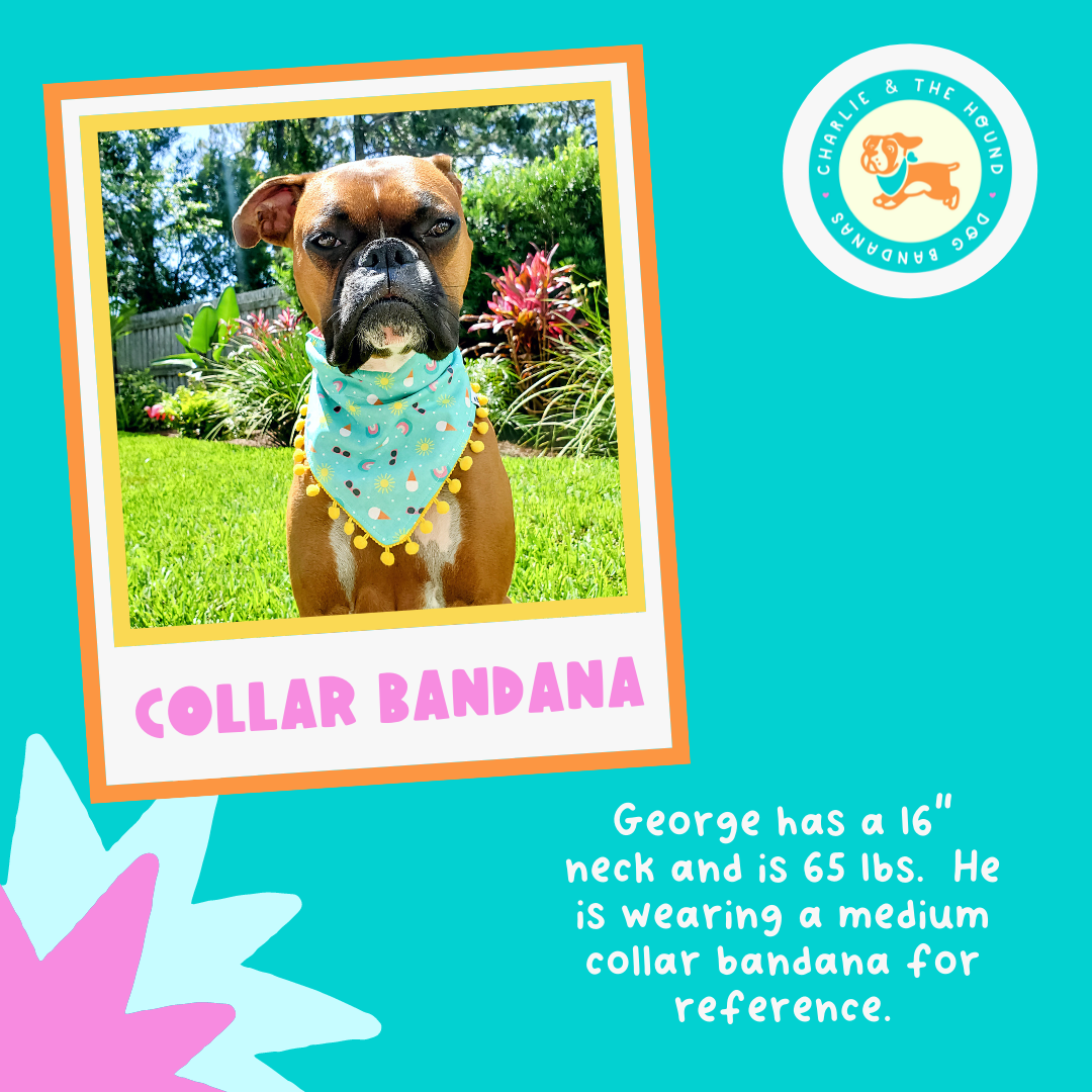 Bandana reversible para collar de perro Love Trolls