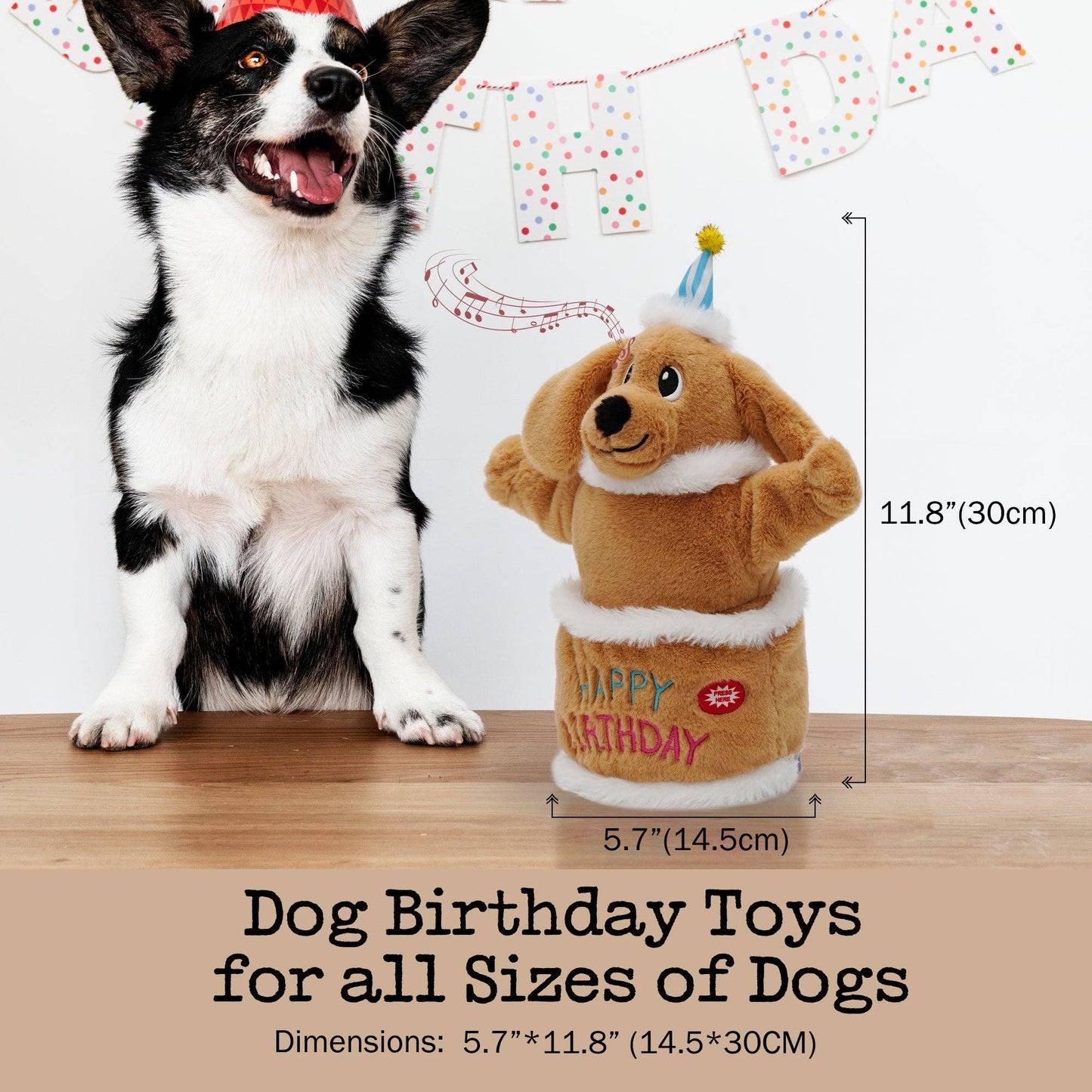Fuzzwoof Singing and Dancing Birthday Cake Dog Toy: Dancing Floppy