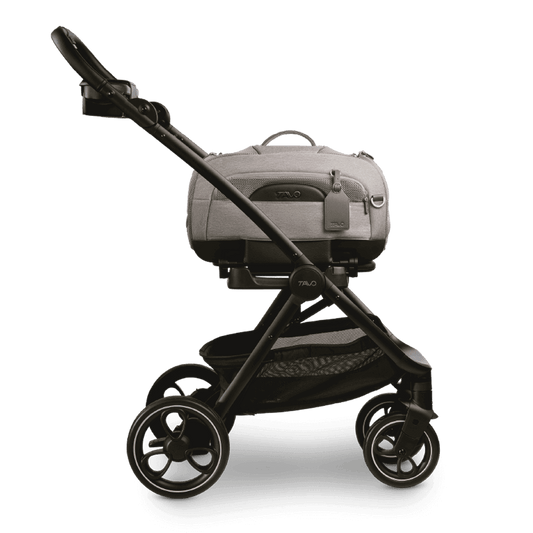 Tavo Dupree + Roscoe Pet Travel System