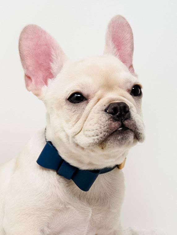 Conjunto de collar y correa para perros Signature - Azul marino