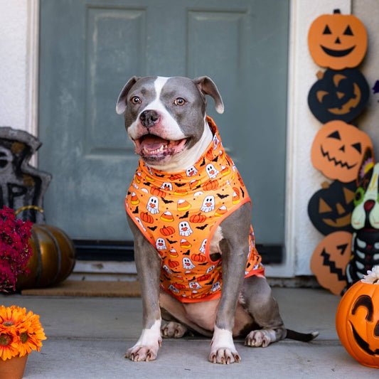 Paw-ranormal Activity Muscle Tee