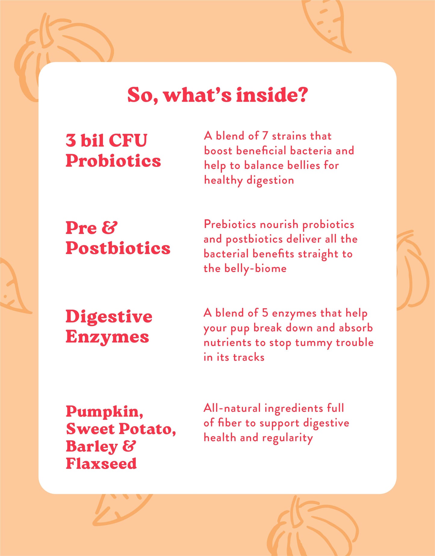 Suplemento alimenticio probiótico para perros