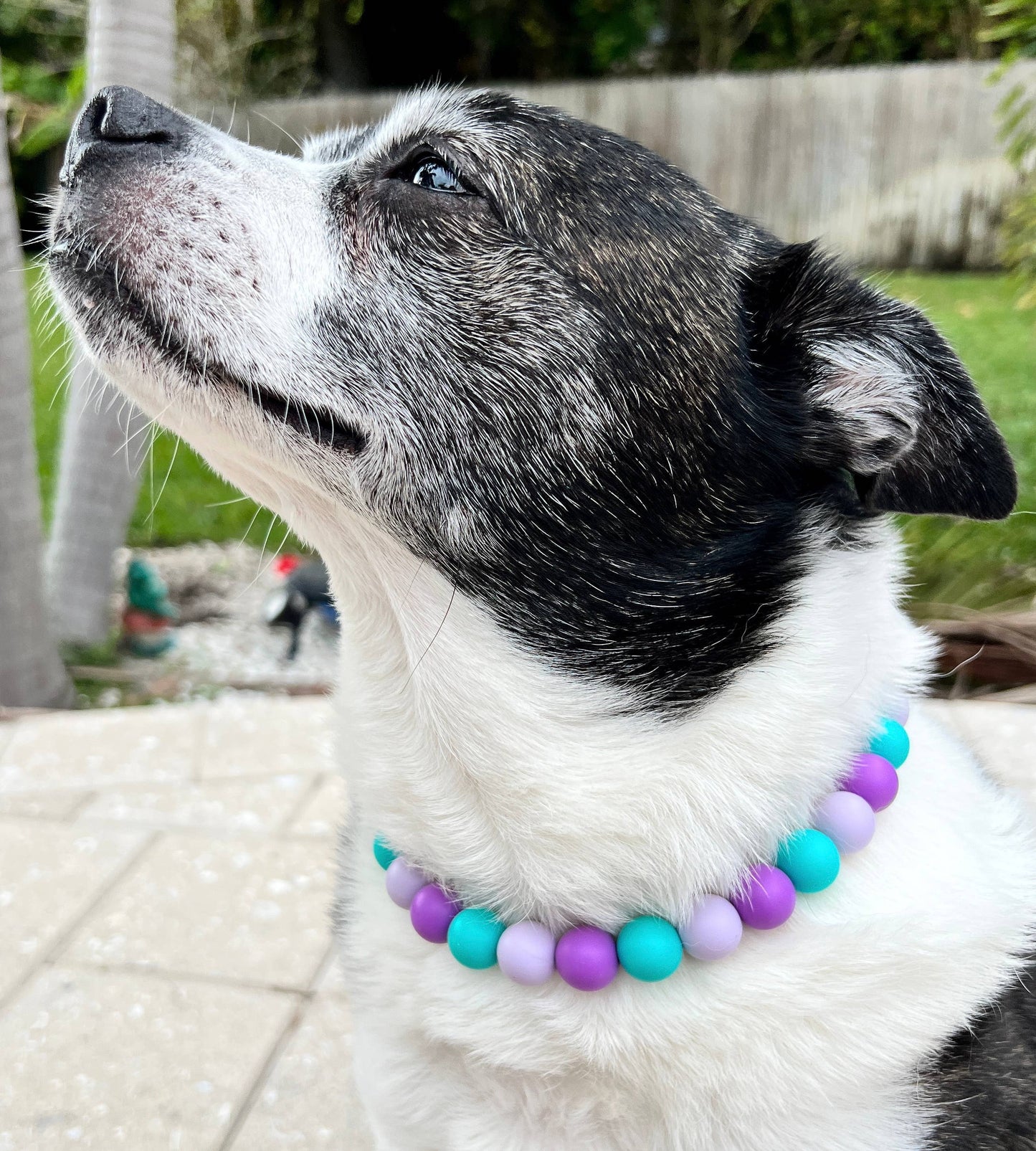 Collar de sirena para mascotas