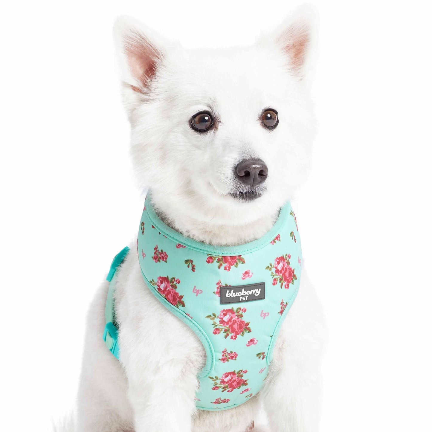 Chaleco arnés para perros con diseño floral de Petal Paws