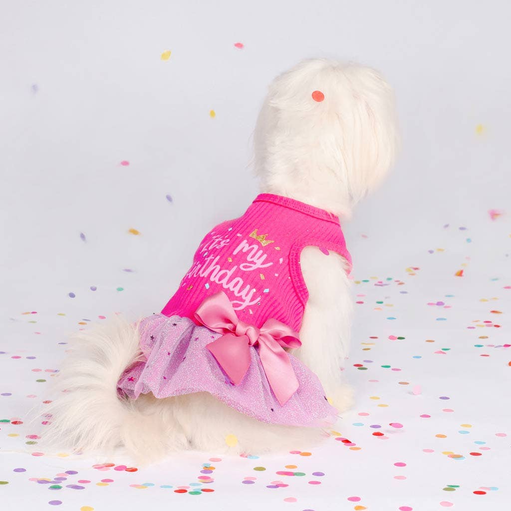 It's My Birthday Dog Dress