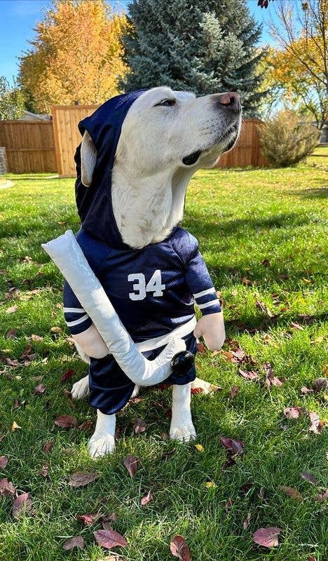 Disfraz de perro de Halloween de Stanley Pup