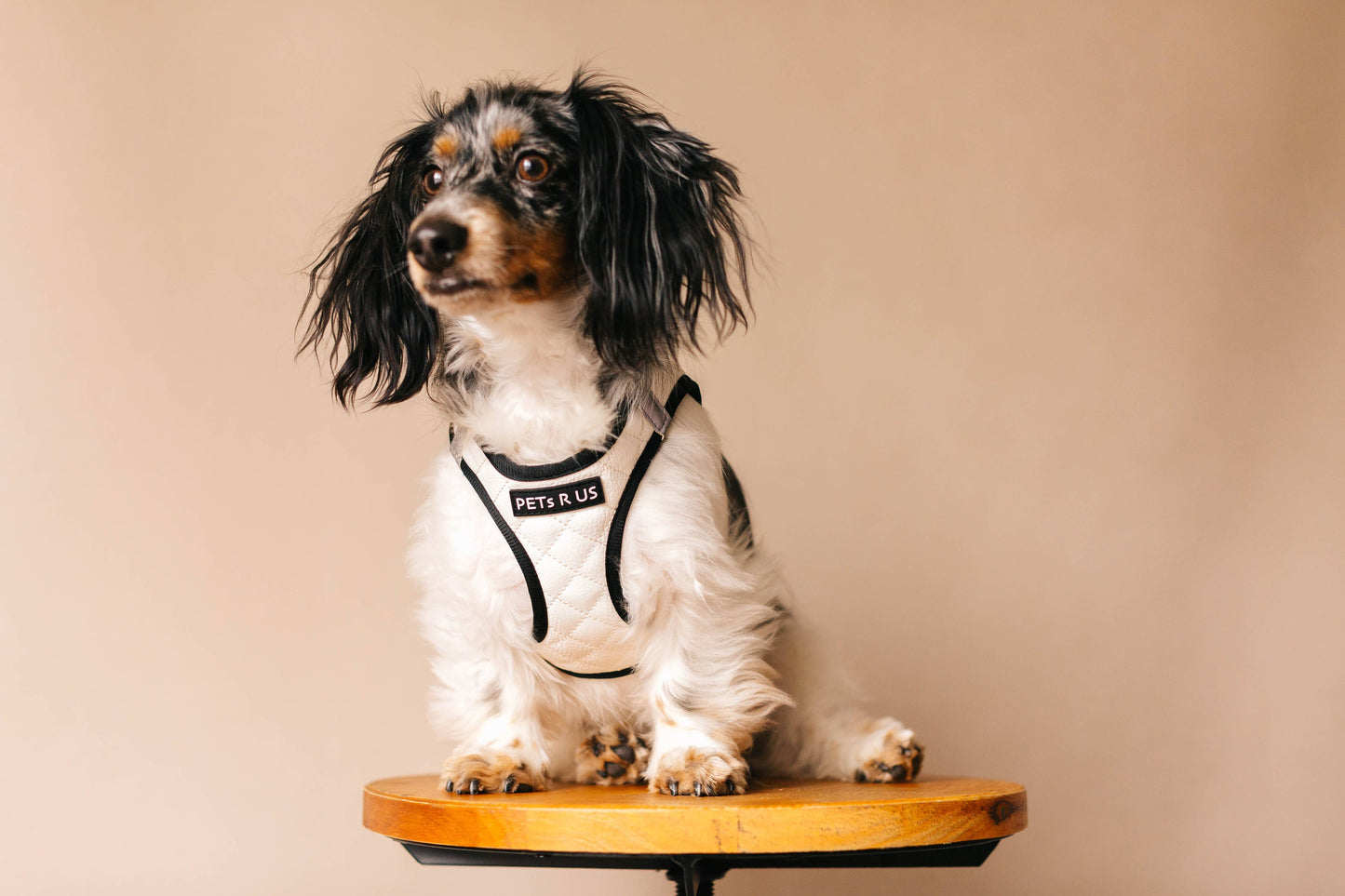 Step-In Dog Harness, Quilted Vegan Leather, White