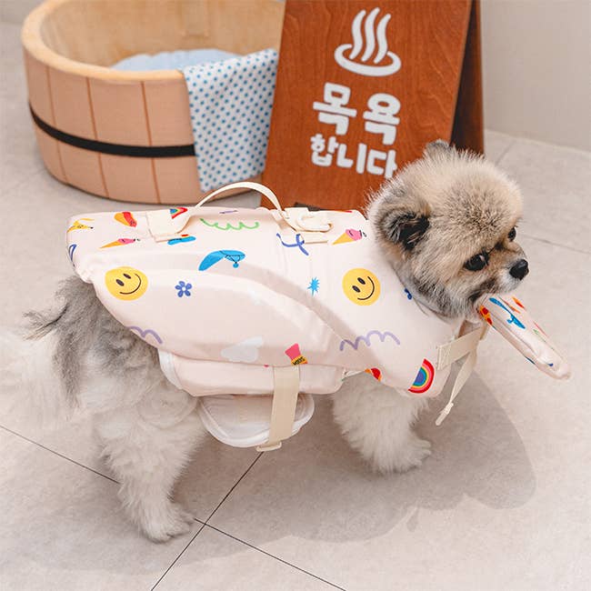 Rainbow Life Jacket