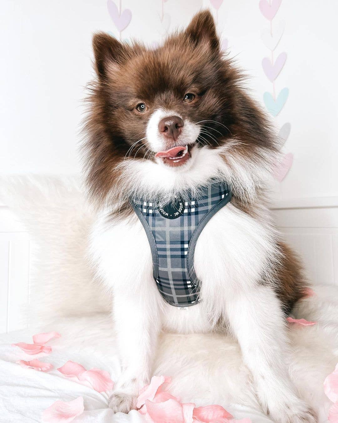 Arnés ajustable para perros con cuadros escoceses negros y grises