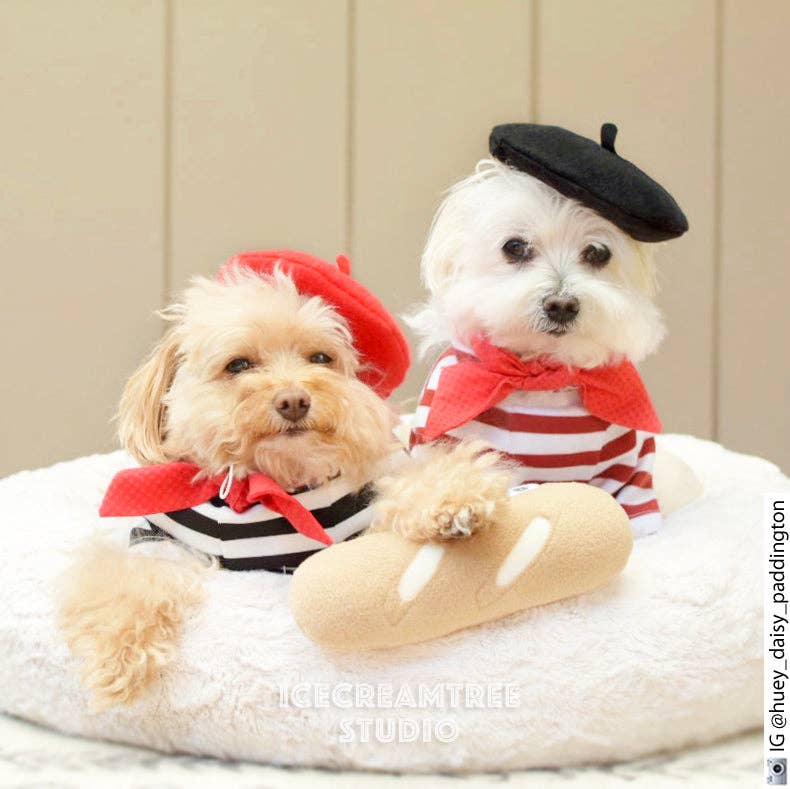 Beret Dog Hat - Assorted Colors