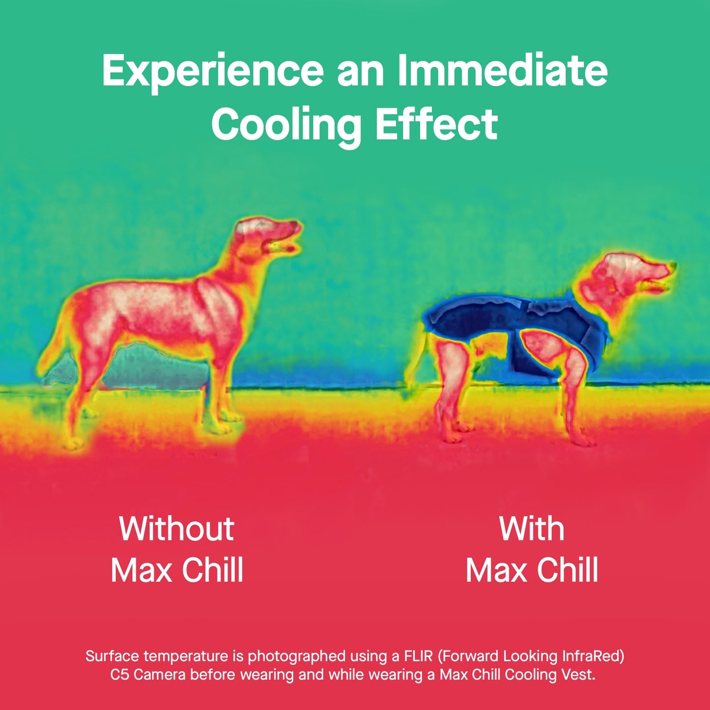 Max Chill Cooling Vest - Assorted Sizes/Colors