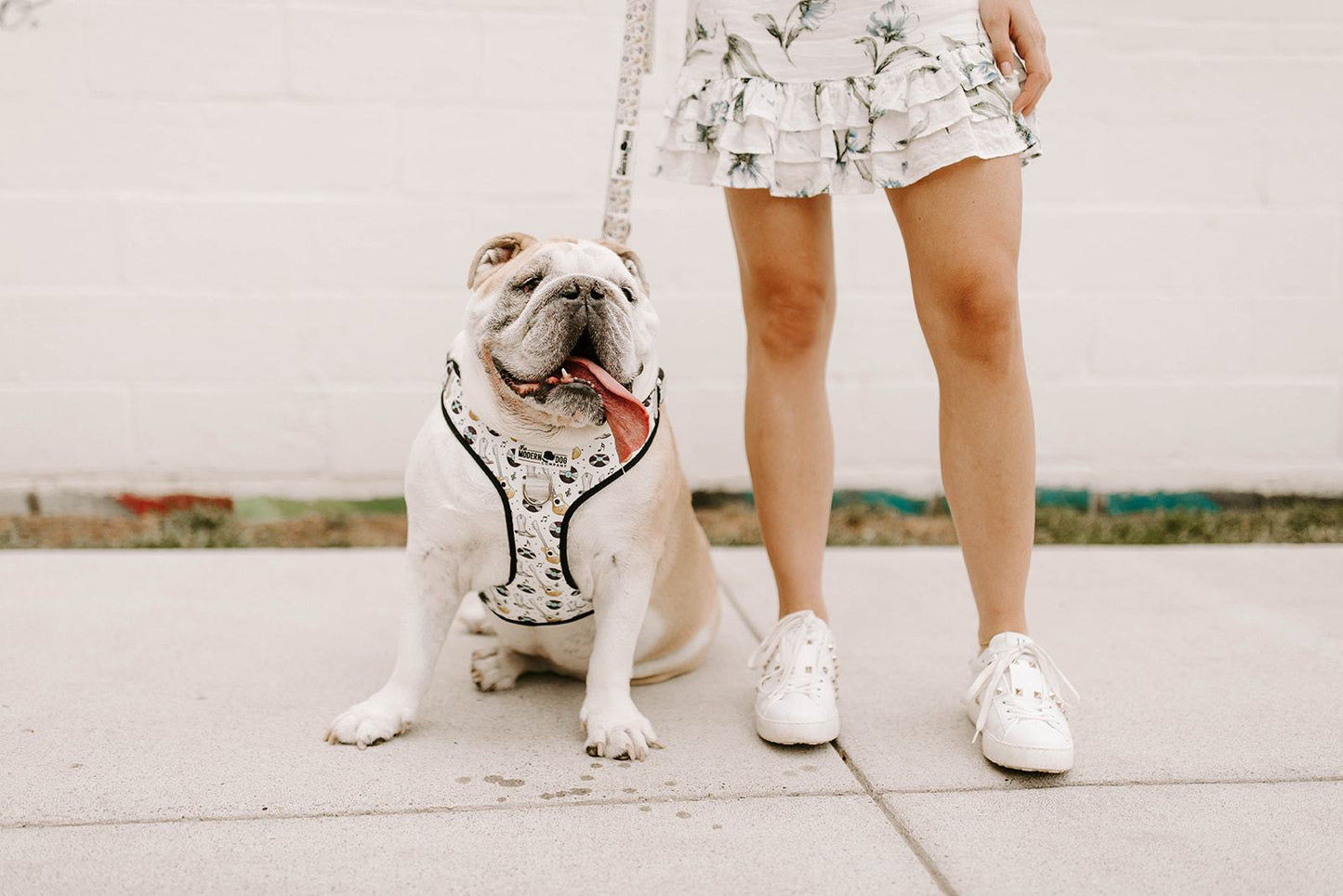 Arnés para perros Music City