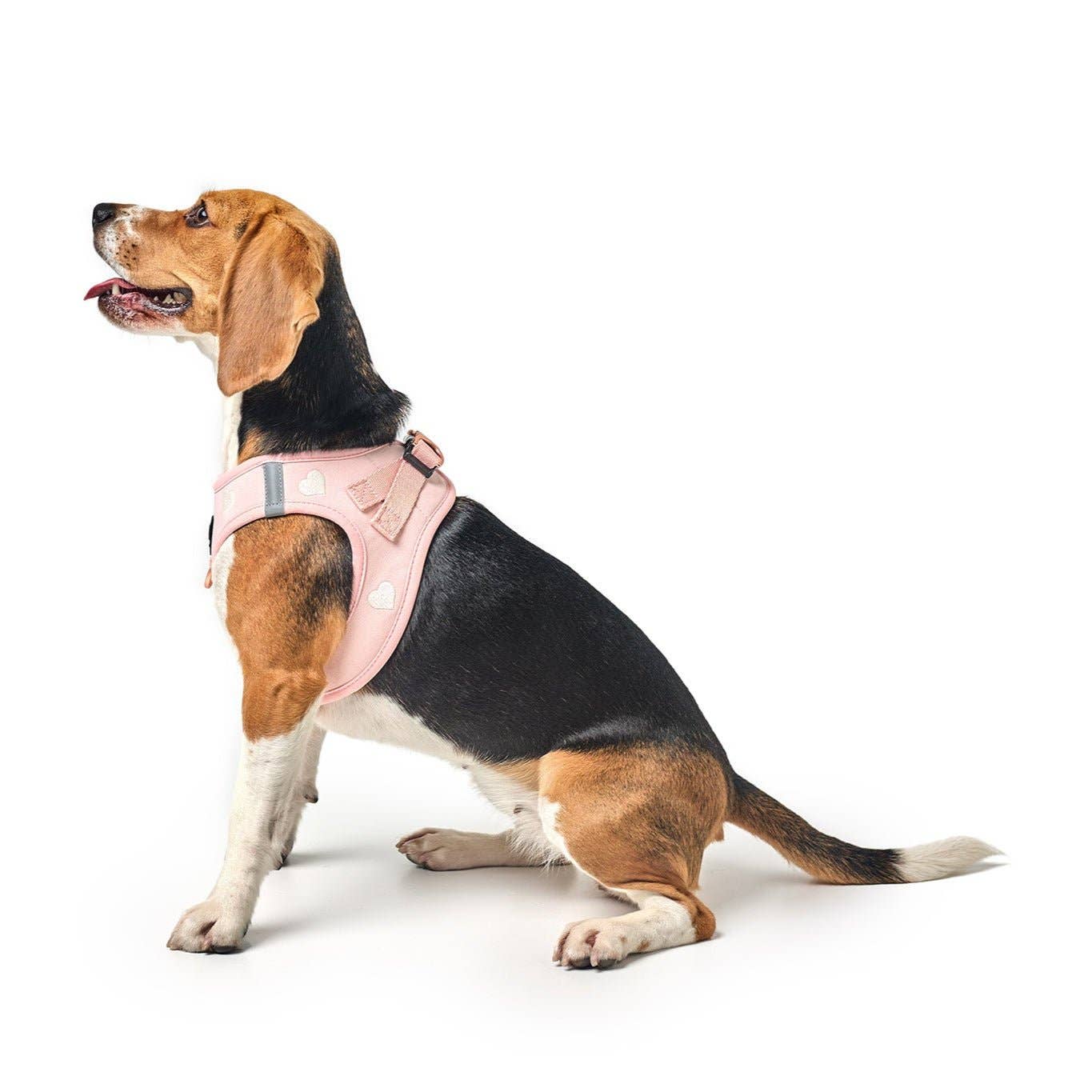 SoHo Dog Harness - Hearts