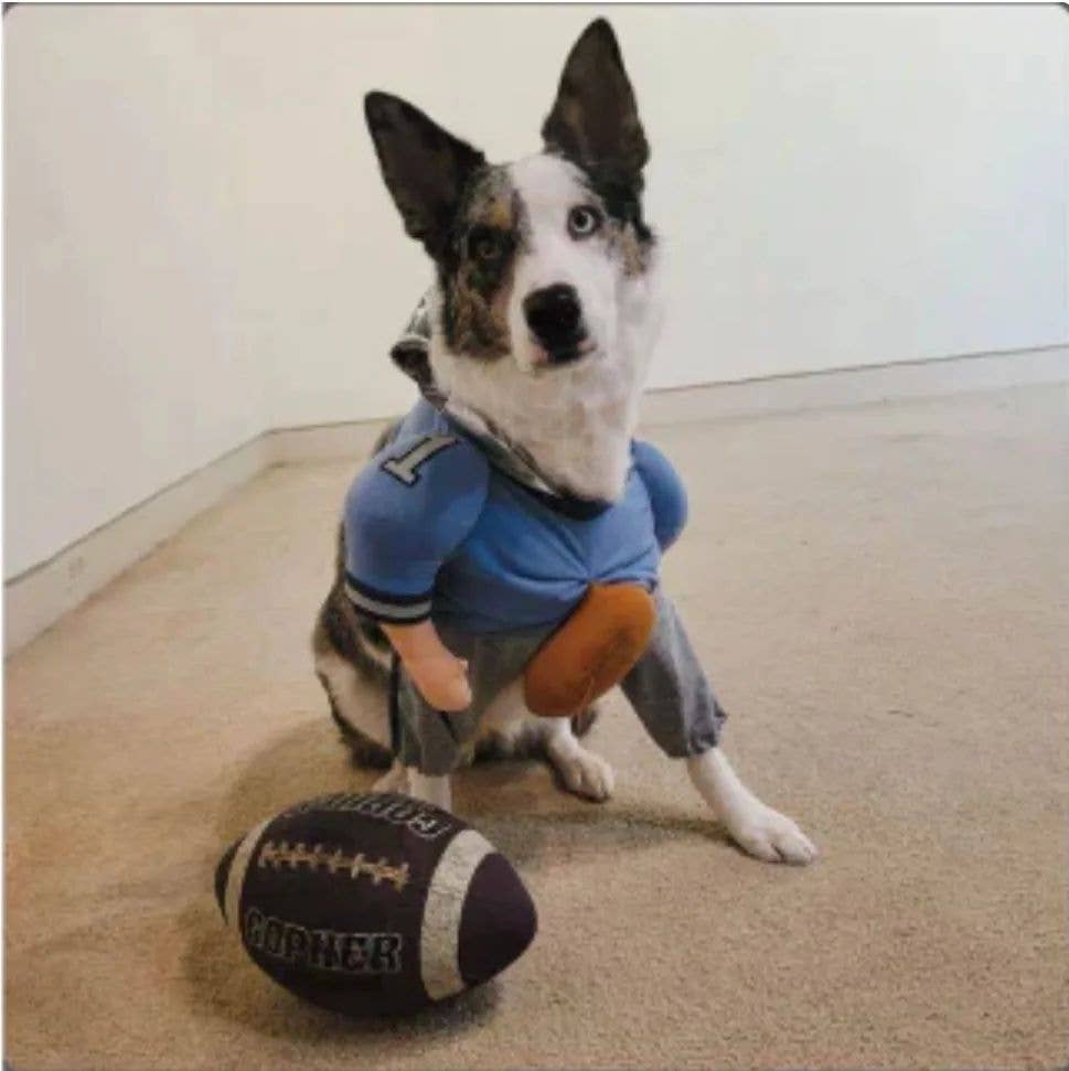 Disfraz de perro de Halloween de QuarterBark