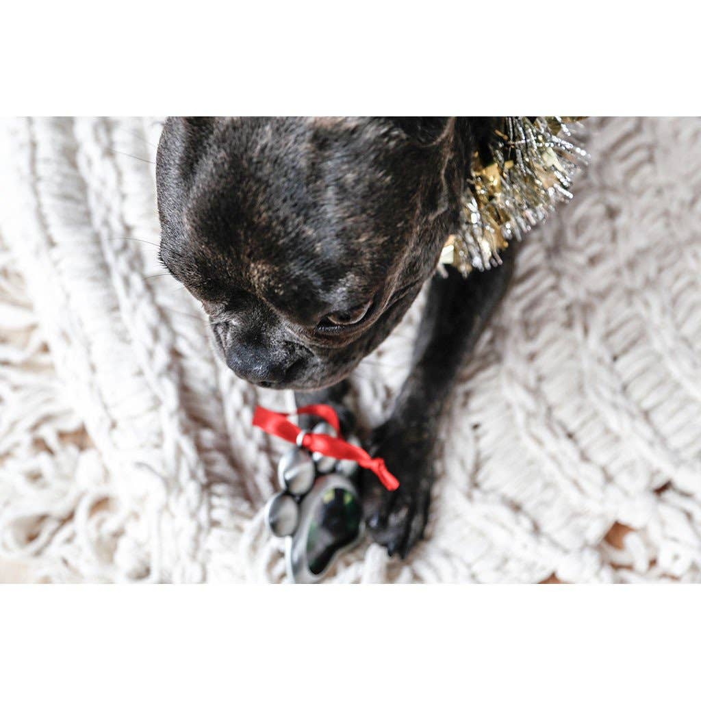 Paw Shaped Pet Picture Holiday Ornament